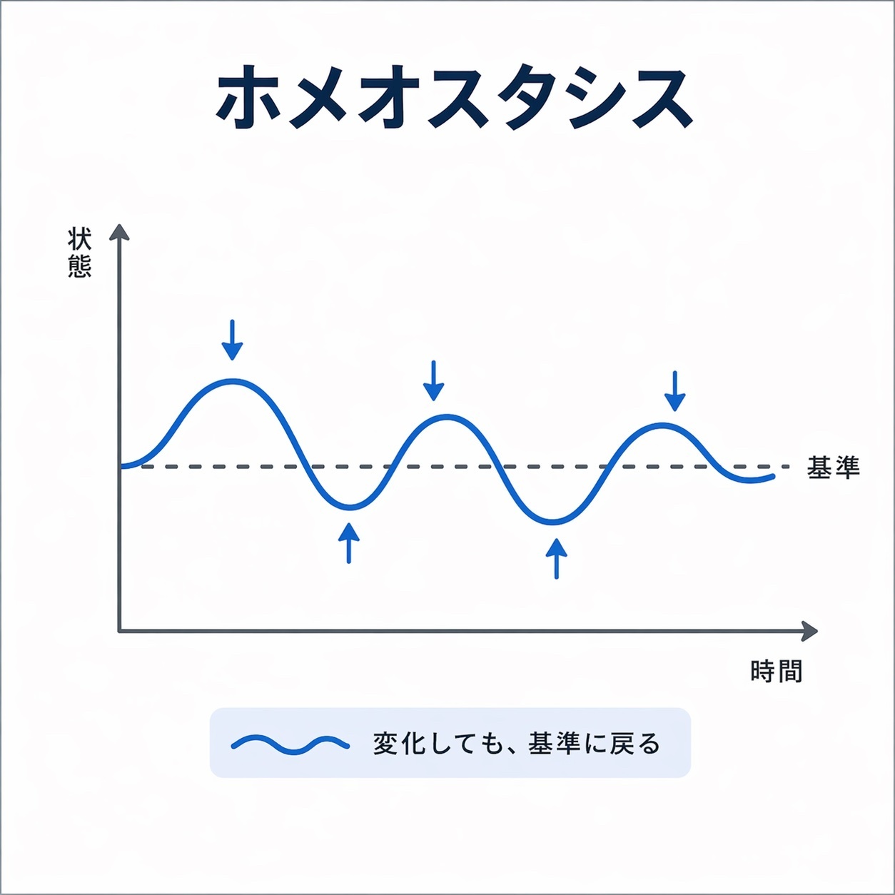 ホメオスタシスの画像