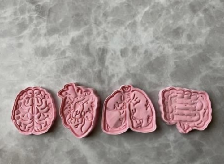 脳・心臓・肺・腸