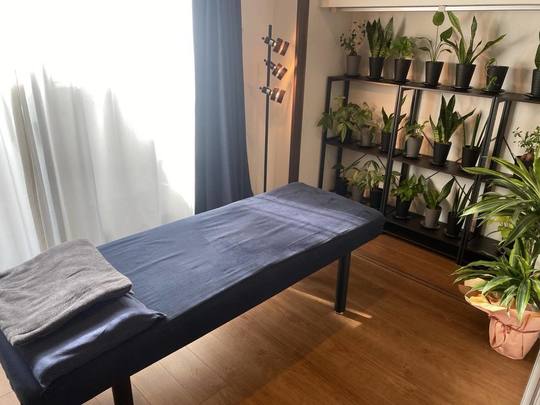 院内風景（観葉植物と施術ベッド）