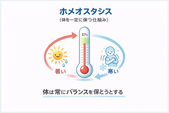 ホメオスタシスの画像