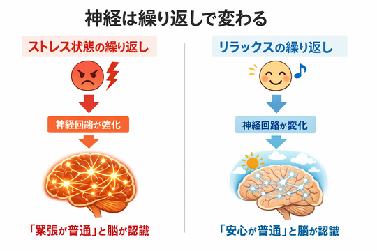 神経可塑性による変化