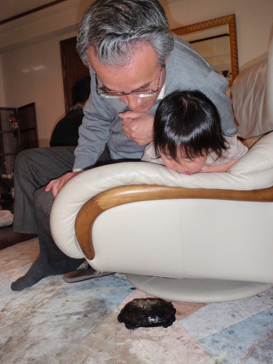 せいじさん（60代）会社経営